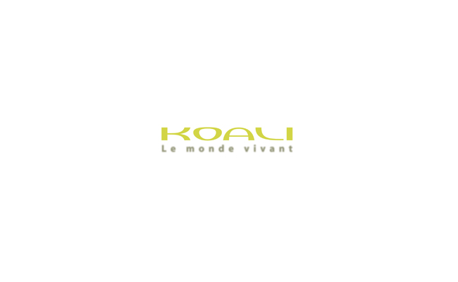 Koali