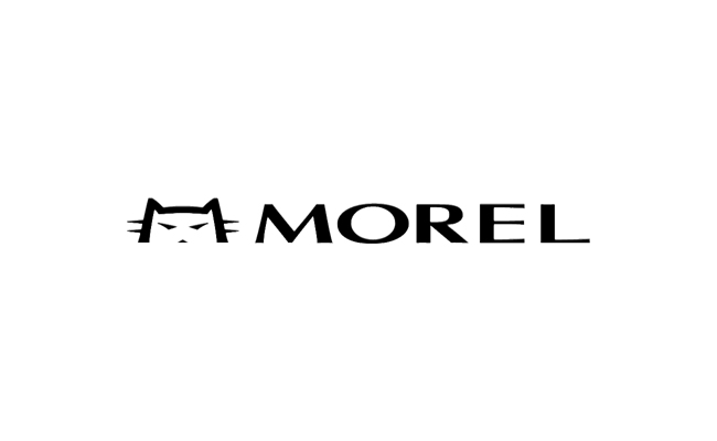 Morel